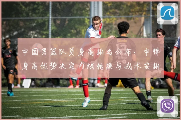 中国男篮队员身高排名公布，中锋身高优势决定内线轮换与战术安排