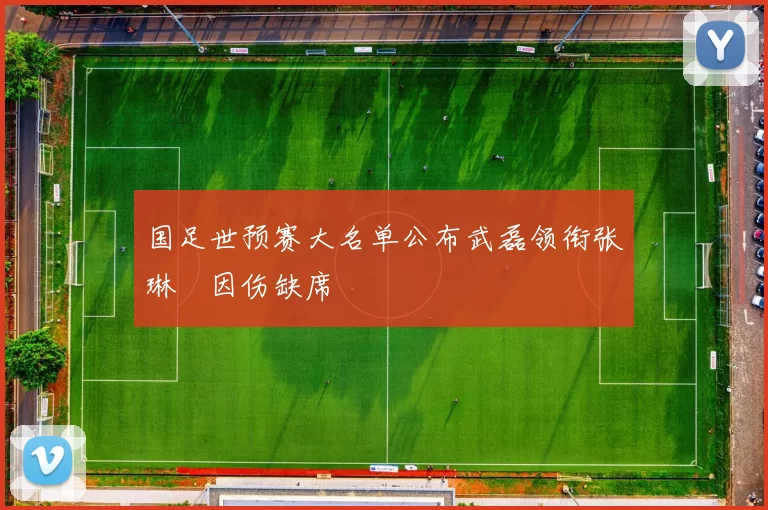 国足世预赛大名单公布武磊领衔张琳芃因伤缺席