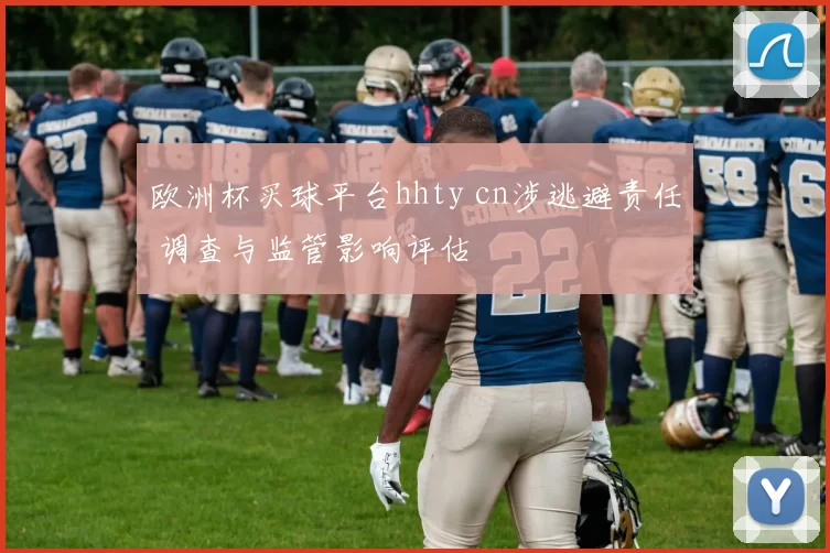 欧洲杯买球平台hhty cn涉逃避责任 调查与监管影响评估