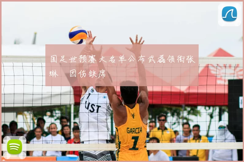 国足世预赛大名单公布武磊领衔张琳芃因伤缺席