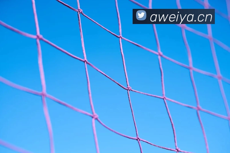 世界杯焦点战球队疑涉现金买球风波 足坛公正与赛事结果受关注